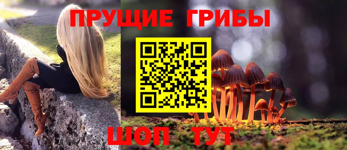 Щёлково  Псилоцибиновые грибы прущие грибы  Вход с VPN 